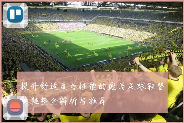 提升舒适度与性能的彪马足球鞋替换鞋垫全解析与推荐